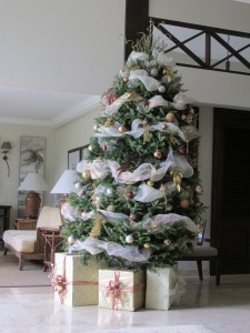 Christmas Tree In Barbados
