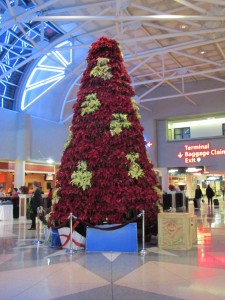 Poinsettia Christmas Tree In Charlotte Airport North Carolina