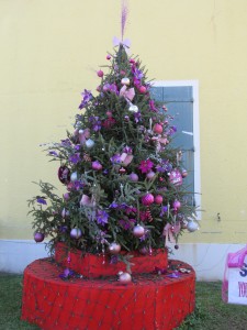 Purple Christmas Tree In St Thomas